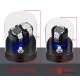 Silence Automatic Mechanical Watch Winder Watch Storage Shake Box Glass Cover LED Light Home Decoration