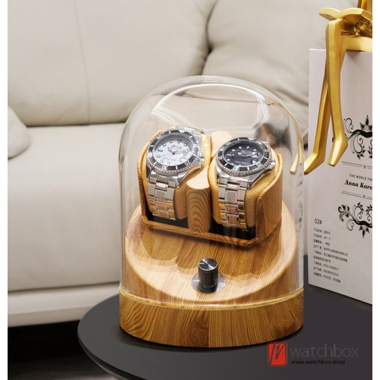 Antimagnetic Mechanical Watch Winder Automatic Shake Box Watch Storage Display Box Home Decoration